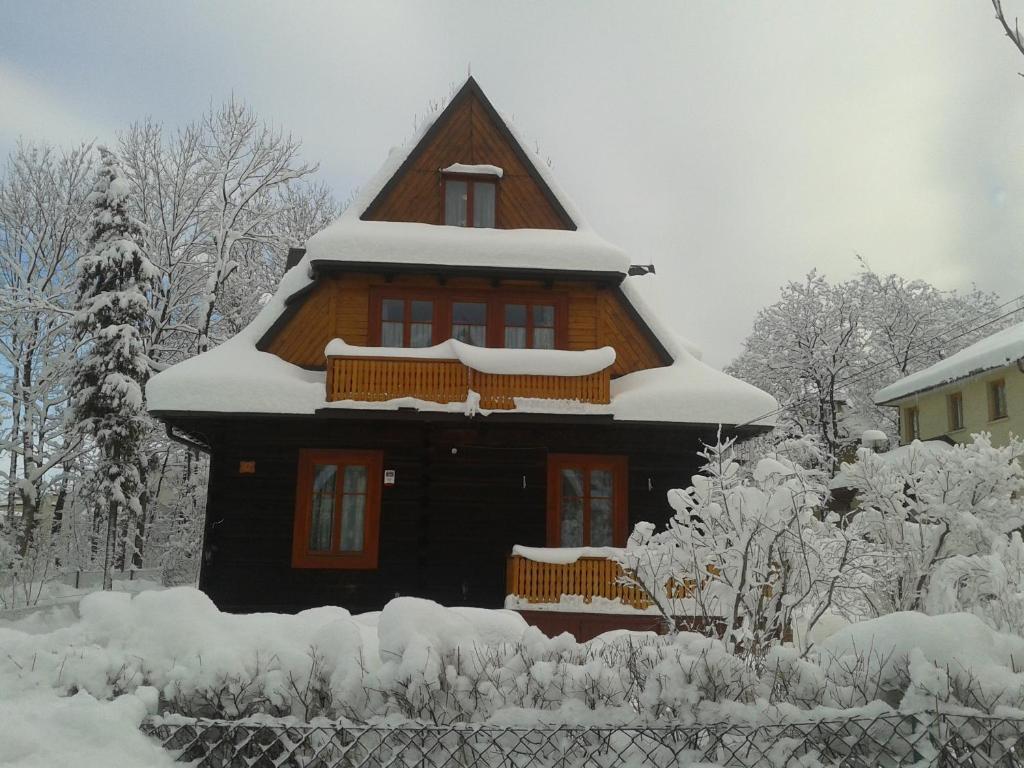 ザコパネ Willa Dewajtis Bed & Breakfast エクステリア 写真
